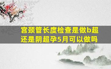 宫颈管长度检查是做b超还是阴超孕5月可以做吗