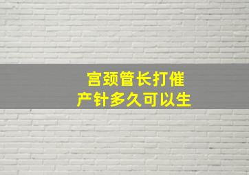 宫颈管长打催产针多久可以生