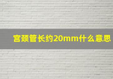 宫颈管长约20mm什么意思