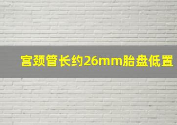 宫颈管长约26mm胎盘低置