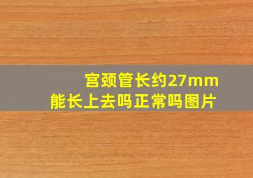 宫颈管长约27mm能长上去吗正常吗图片