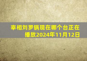 宰相刘罗锅现在哪个台正在播放2024年11月12日