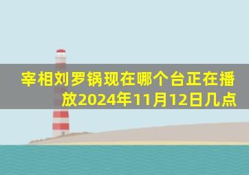 宰相刘罗锅现在哪个台正在播放2024年11月12日几点