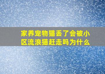 家养宠物猫丢了会被小区流浪猫赶走吗为什么