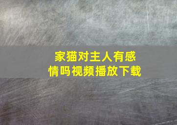 家猫对主人有感情吗视频播放下载