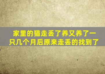 家里的猫走丢了养又养了一只几个月后原来走丢的找到了