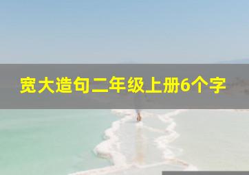 宽大造句二年级上册6个字