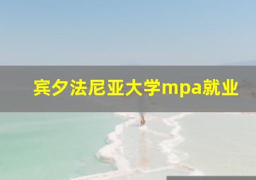 宾夕法尼亚大学mpa就业