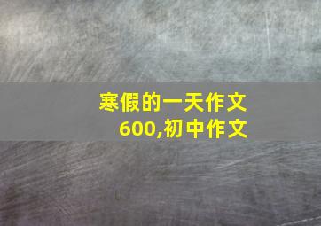 寒假的一天作文600,初中作文