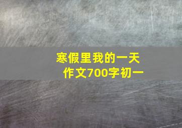 寒假里我的一天作文700字初一