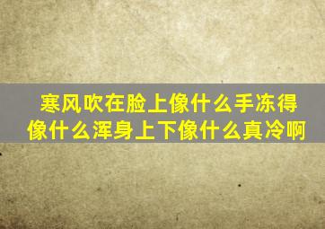 寒风吹在脸上像什么手冻得像什么浑身上下像什么真冷啊