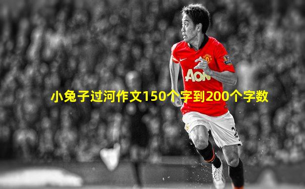 小兔子过河作文150个字到200个字数