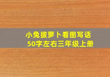 小兔拔萝卜看图写话50字左右三年级上册