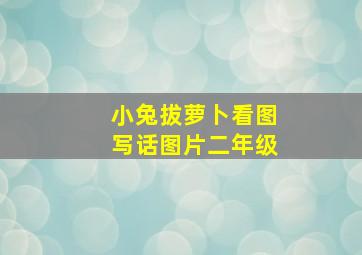 小兔拔萝卜看图写话图片二年级