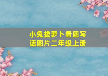 小兔拔萝卜看图写话图片二年级上册