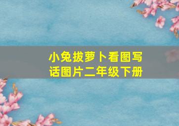 小兔拔萝卜看图写话图片二年级下册