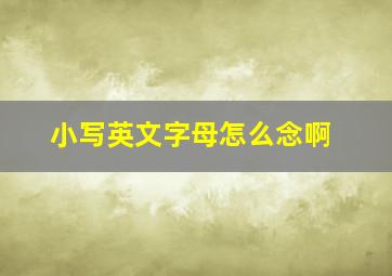 小写英文字母怎么念啊