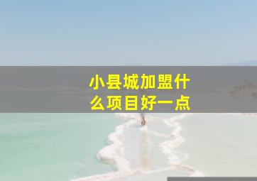 小县城加盟什么项目好一点