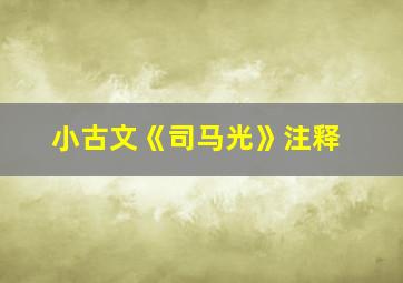 小古文《司马光》注释