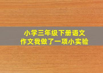 小学三年级下册语文作文我做了一项小实验