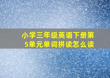 小学三年级英语下册第5单元单词拼读怎么读