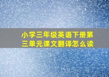 小学三年级英语下册第三单元课文翻译怎么读