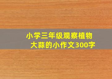 小学三年级观察植物大蒜的小作文300字