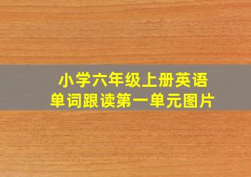 小学六年级上册英语单词跟读第一单元图片