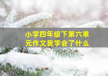 小学四年级下第六单元作文我学会了什么