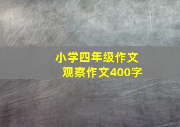 小学四年级作文观察作文400字