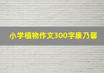 小学植物作文300字康乃馨