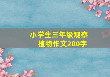 小学生三年级观察植物作文200字