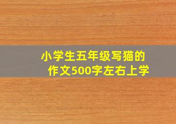 小学生五年级写猫的作文500字左右上学