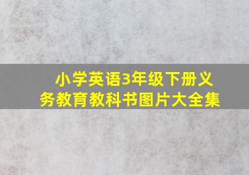 小学英语3年级下册义务教育教科书图片大全集