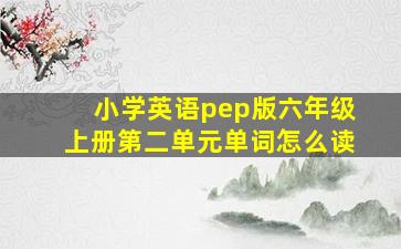 小学英语pep版六年级上册第二单元单词怎么读