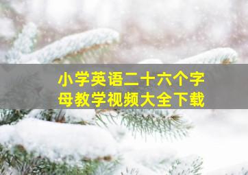 小学英语二十六个字母教学视频大全下载