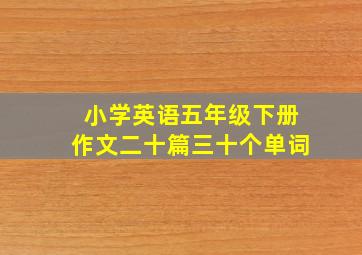 小学英语五年级下册作文二十篇三十个单词