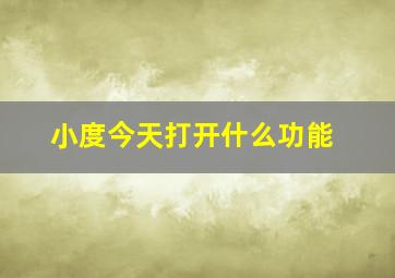 小度今天打开什么功能