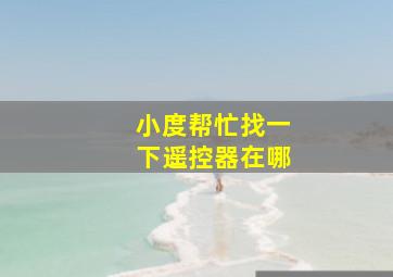 小度帮忙找一下遥控器在哪