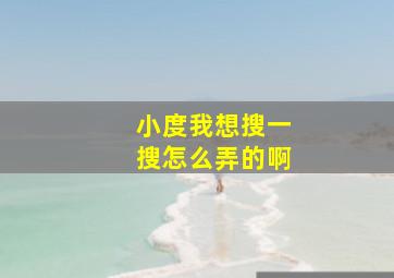 小度我想搜一搜怎么弄的啊