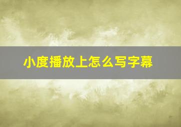 小度播放上怎么写字幕