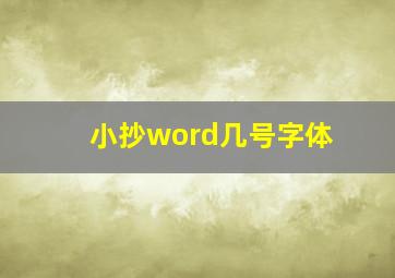 小抄word几号字体