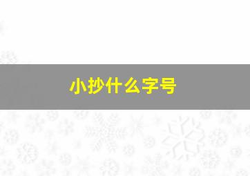 小抄什么字号