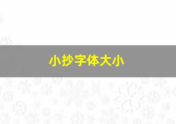 小抄字体大小