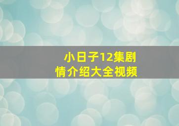 小日子12集剧情介绍大全视频