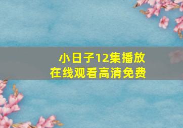 小日子12集播放在线观看高清免费