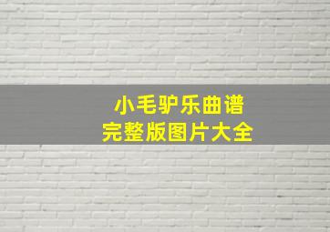 小毛驴乐曲谱完整版图片大全