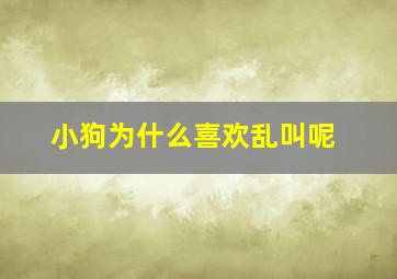 小狗为什么喜欢乱叫呢