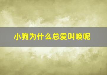 小狗为什么总爱叫唤呢