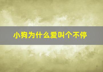 小狗为什么爱叫个不停